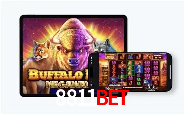 Casino Ao Vivo 8811bet